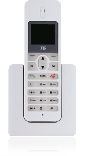 ZTE WP650