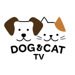 Dog & Cat TV
