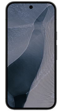 Google Pixel 11 Pro 5G 256GB obsidian