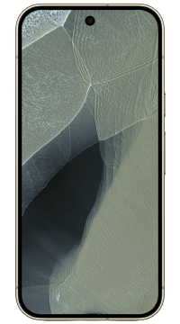 Google Pixel 11 Pro 5G 256GB olive